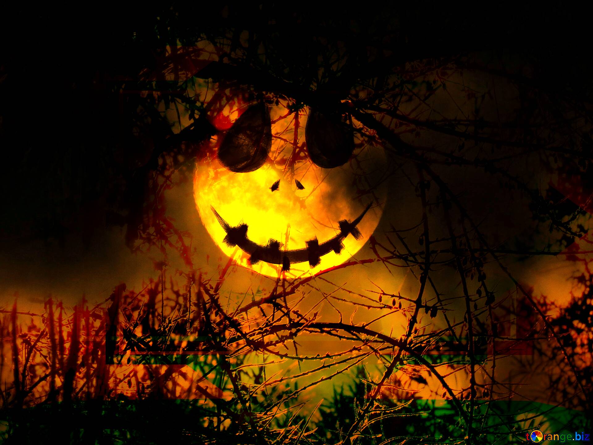 Download free picture Halloween background with the Moon Spooky forest on  CC-BY License ~ Free Image Stock  ~ fx №193556