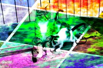 FX №193474 Cat and Kittens Contemporary art abstract design