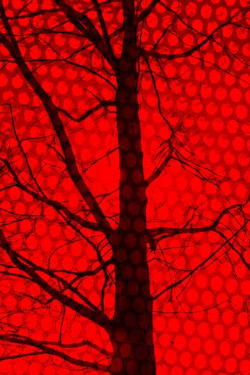 FX №193879 Branches  tree  no  leaf  at  background  sky red hole metal grill industry