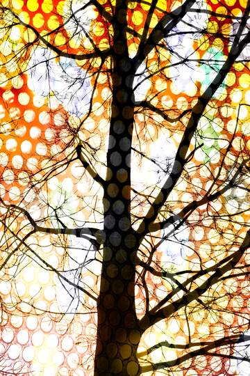 FX №193880 Branches  tree  no  leaf  at  background  sky lights bokeh hole metal grill industry