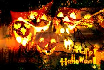 FX №193572 Wallpaper Halloween Spooky forest
