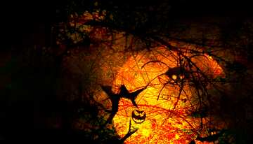 FX №193558  Halloween chaotic wire Spooky forest