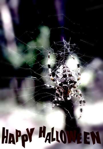 FX №193632 The spider in the woods blur frame happy halloween
