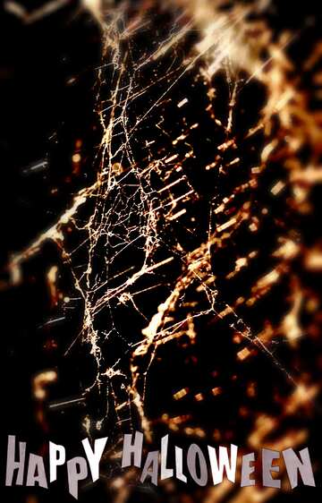 FX №193628  Spider blur frame happy halloween