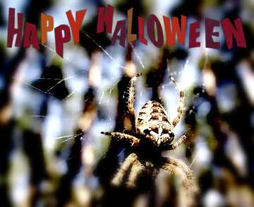 FX №193649  Forest Spider blur frame happy halloween