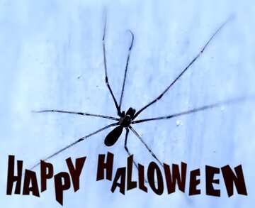 FX №193616 Spider blur frame happy halloween