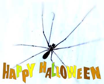 FX №193618 Spider happy halloween white card