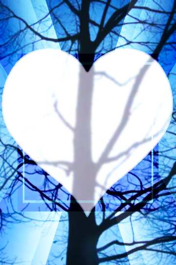 FX №193857 love white heart  Branches tree no leaf