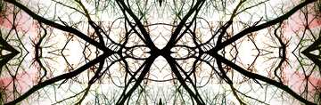 FX №193852 Branches tree pattern fragment