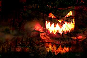 FX №193575 Halloween pumpkin  scary forest