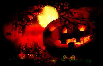 FX №193591 Halloween pumpkin on a background of the full round moon Spooky forest