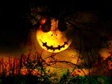 FX №193556 Halloween background with the Moon Spooky forest