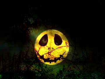 FX №193555 Background for Halloween moon night Spooky forest