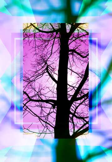FX №193877 Branches tree no leaf template responsive frame