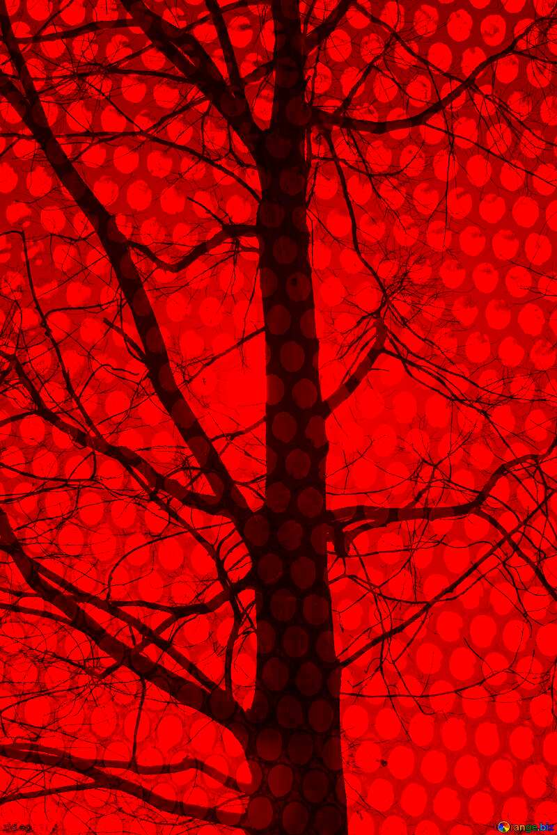 Branches  tree  no  leaf  at  background  sky red hole metal grill industry №4506