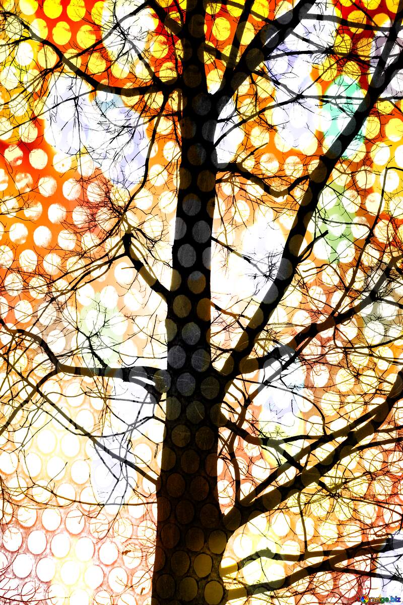 Branches  tree  no  leaf  at  background  sky lights bokeh hole metal grill industry №4506
