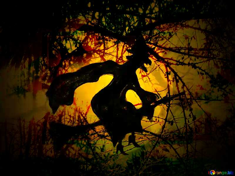 Picture Halloween witch flying on her broom Spooky forest №40587