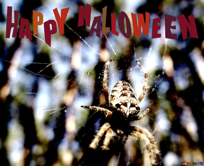  Forest Spider blur frame happy halloween №7390