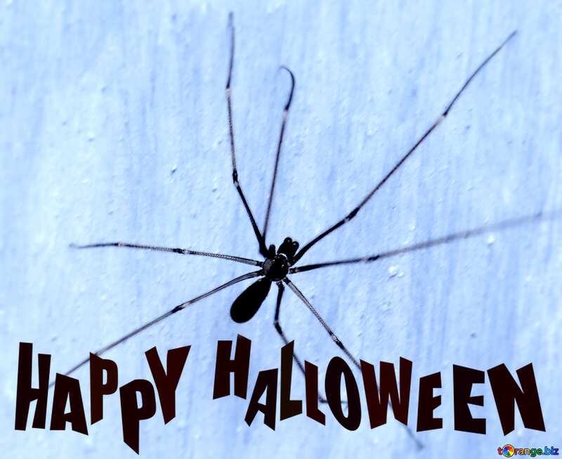 Spider blur frame happy halloween №31635