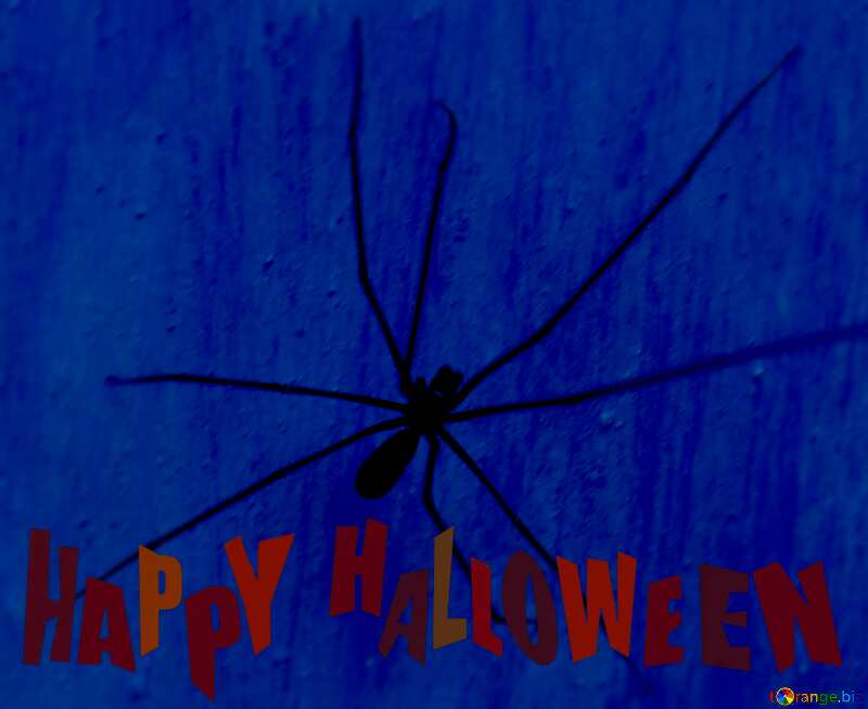 Spider happy halloween blue card №31635