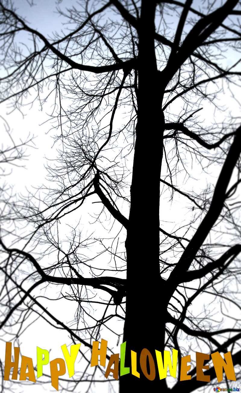 Branches tree no leaf happy halloween №4506