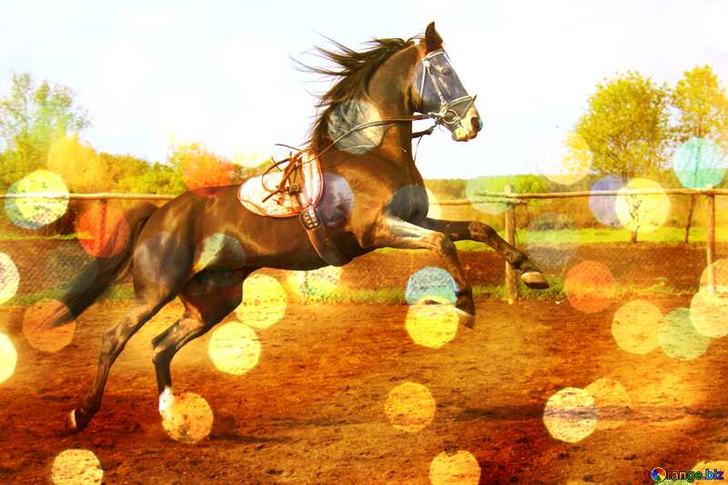 Jumping horse background №1849