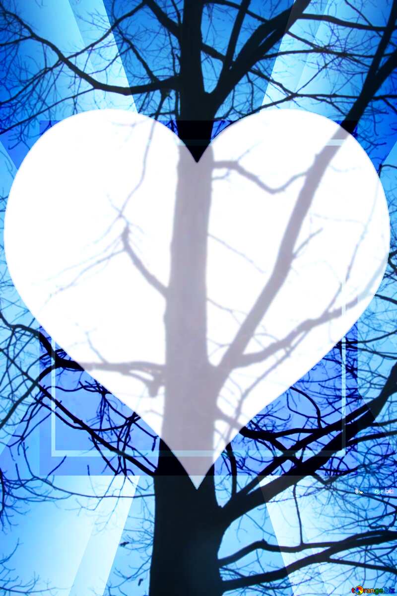 love white heart  Branches tree no leaf №4506