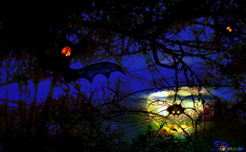 Halloween background for congratulations  Halloween scary forest №40474