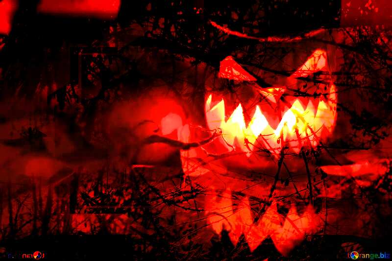 pumpkin Light Halloween  scary forest №24284