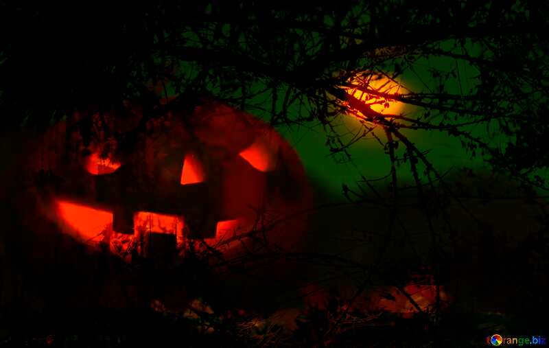 Halloween pumpkin in the background of the moon spooky forest №46171