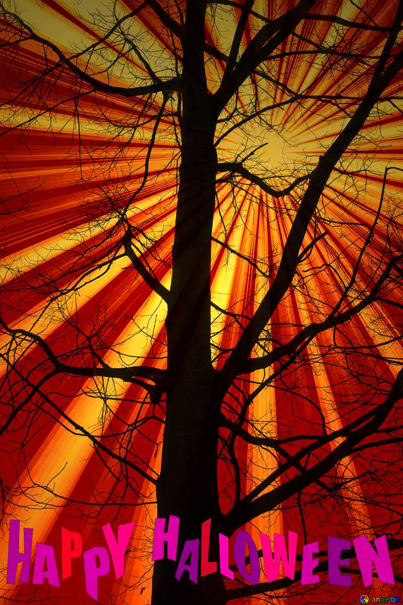 Branches tree no leaf Rays happy halloween background №4506