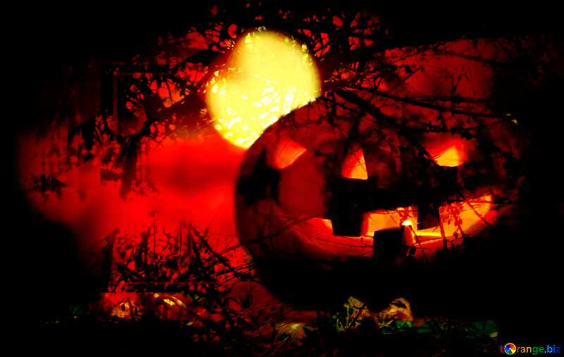 Halloween pumpkin on a background of the full round moon Spooky forest №46169