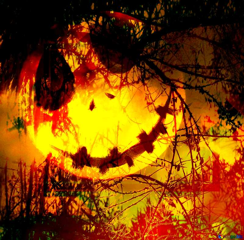 Halloween background with the Moon Spooky forest №40471