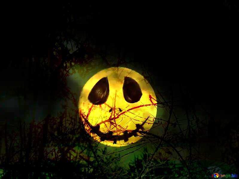 Background for Halloween moon night Spooky forest №40473