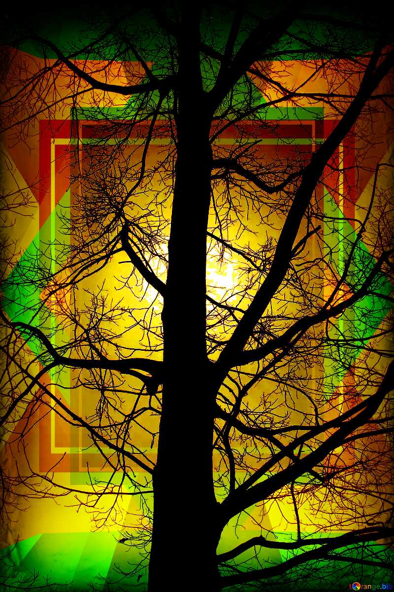 Branches tree no leaf picture business design frame №4506
