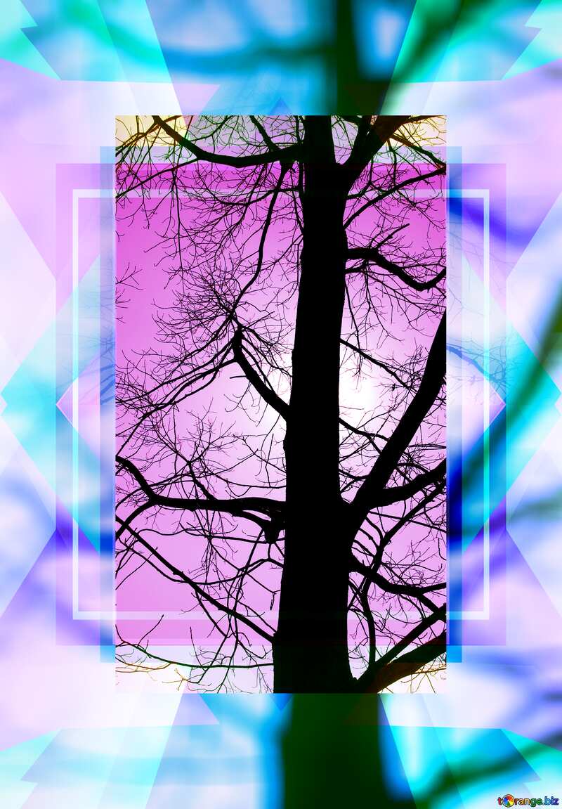 Branches tree no leaf template responsive frame №4506