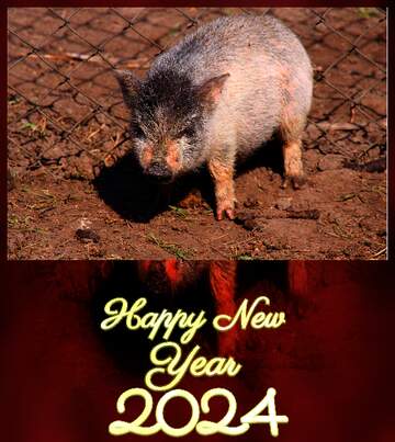 FX №194496 Pig wild Happy New Year 2024 Background Card