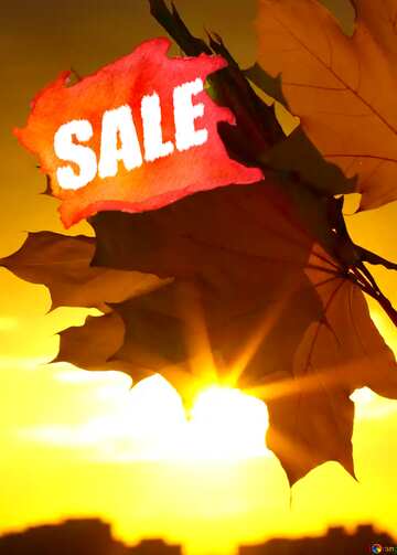 FX №194990 Autumn sunset background sale discount banner design letter