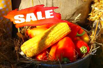 FX №194980 Autumn vegetables sale farm store shop banner