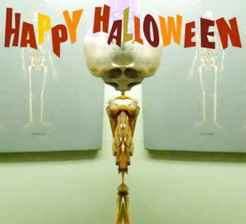 FX №194464 Happy Halloween Skeleton