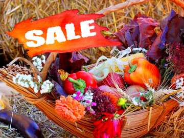 FX №194976 Autumn still life with flowers sale store shop banner
