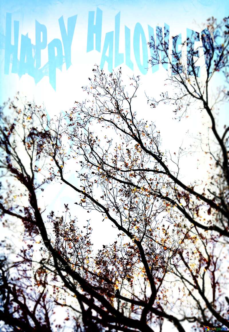 Autumn trees Clipart Happy Halloween dark old frame №28480