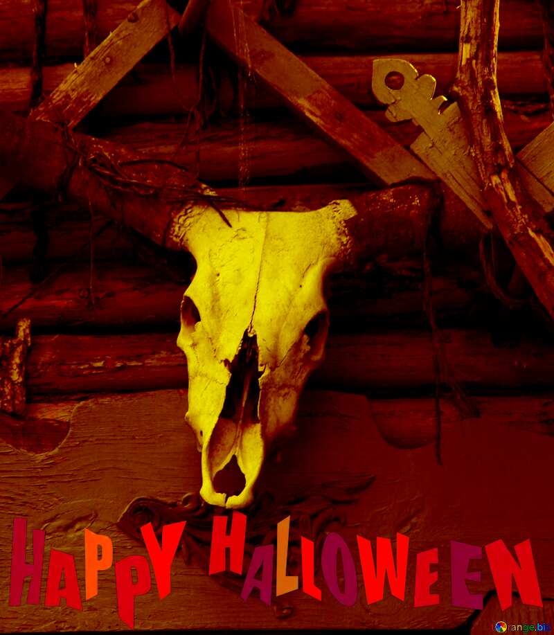 Happy Halloween  skulls and horns №3047