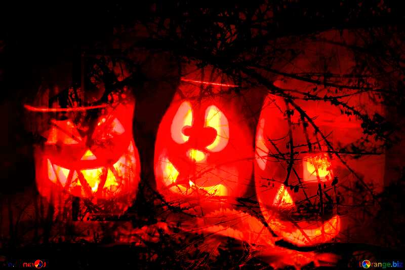  Pumpkins Scary Forest Halloween Light №24317