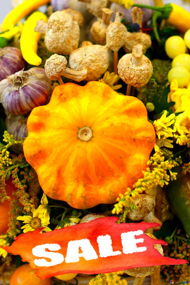 Autumn vegetables sale poster print №47041