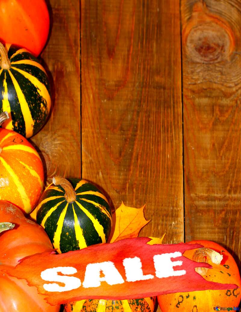 Autumn background with pumpkins sale promotion poster template №35214