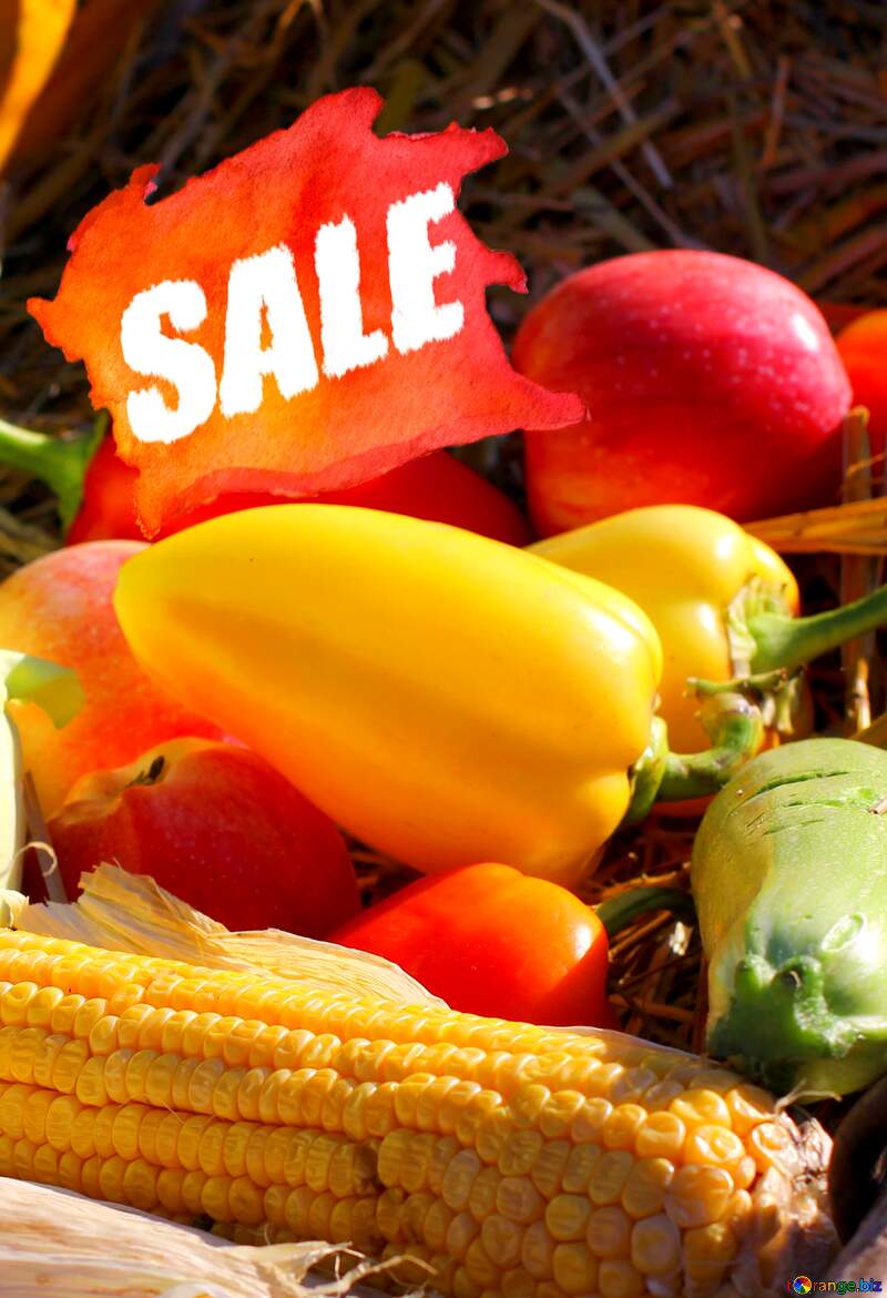 Autumn vegetables sale farm shop banner №47315