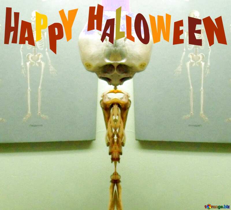 Happy Halloween Skeleton №21456