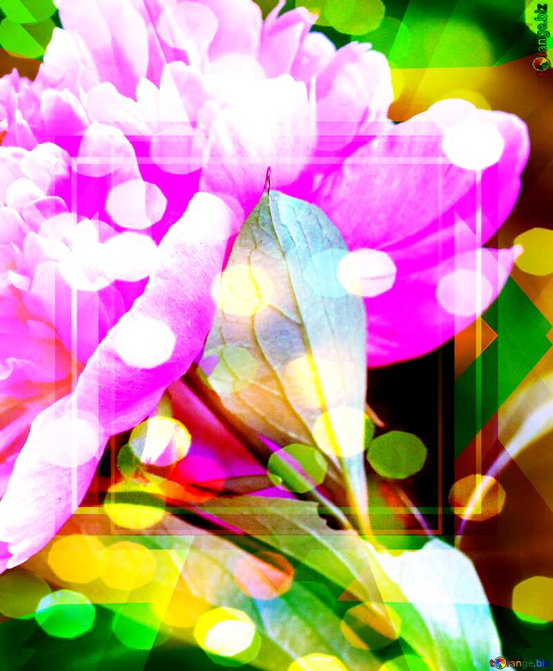 Peony flower bokeh background template banner responsive design №32638
