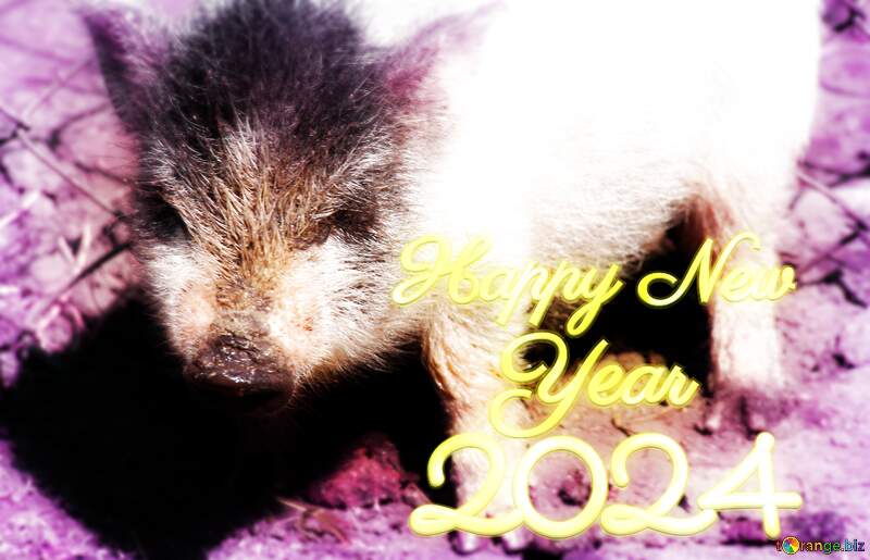 Pig wild happy new year 2024 №1265